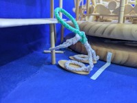 Third Lane of First Level of Second Bridge First Support