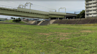 2021 Aug 16 tama river odakyu line setagaya