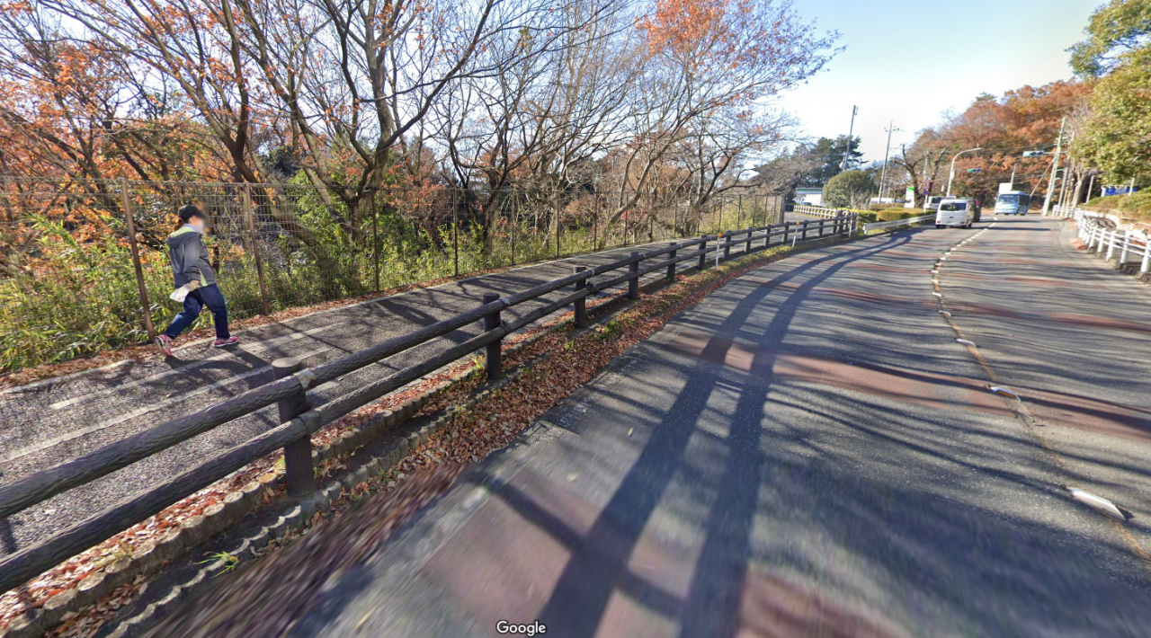 Pathway beside Tama Lake