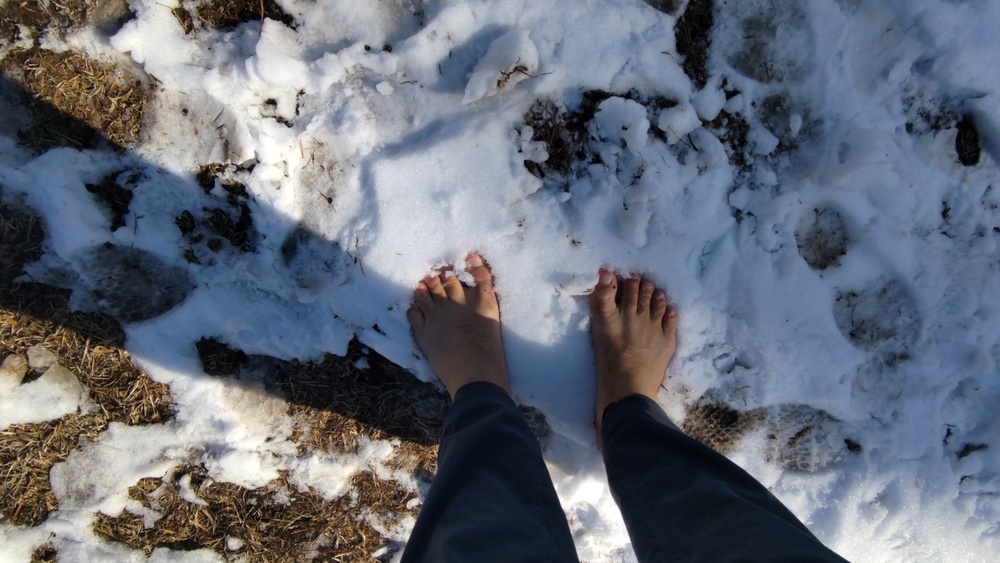 2022 jan 08 bare feet snow