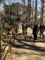 2022 feb 26 rinshi no mori park exit main path