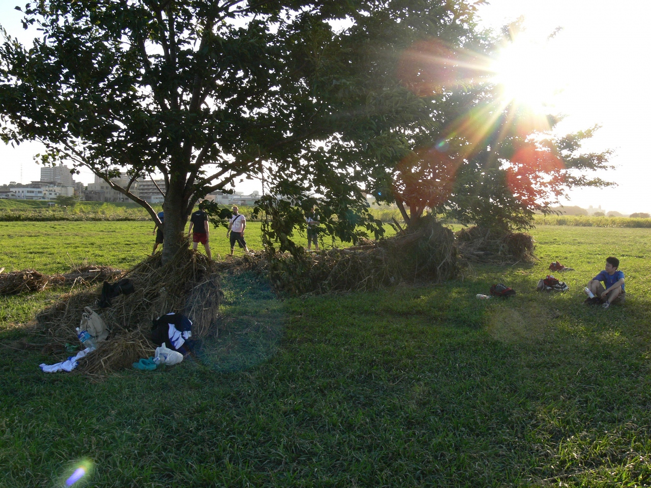 sunshine to dry the fields