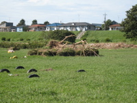 Sun 16 Sep 2007 02:33:45 PM