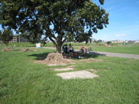 Sun 16 Sep 2007 02:33:56 PM
