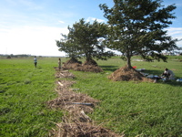 fence by our field