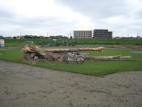 TJ Bike by pitcher's tree