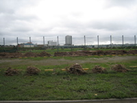 along parking area