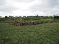 behind endzone of our other field - zoom