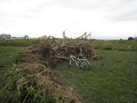 behind endzone with TJ Bike inside