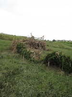 behind the endzone from the side
