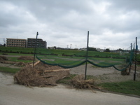 fucked field - 2