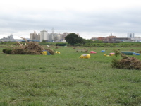 kids' area - 1