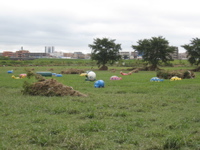 kids' area - 2