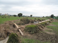 log jam angle view