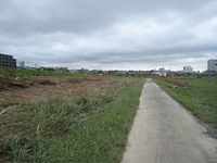 looking back along the muck-lined track