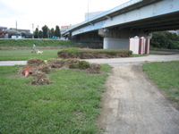 looking back from entrance