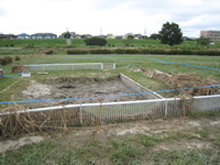 sand box sans sand - 2