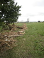 the line is a fence laid out along the field