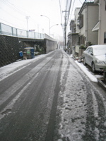 blucky snow - 4