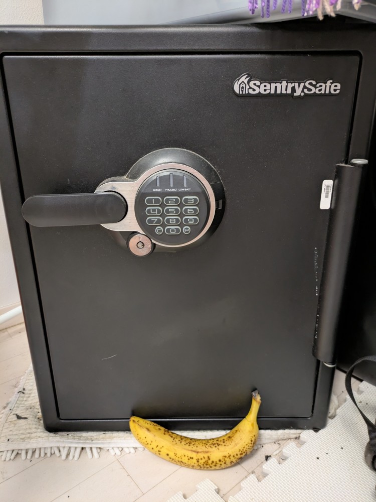 SentrySafe Digital Lock Safe