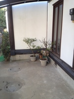 plants parked in parking spot 2016-01-09 12.17.11