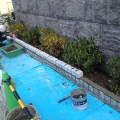 2013 dec 04 stone block wall planting blue tarp
