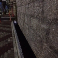 2013 dec 21 new flowerbed gutter by stone wall