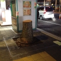 2013 dec 21 sawn tree stump on night sidewalk