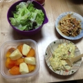 2013 nov 16 home dinner salad persimmon potato