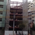 2013 nov 16 steel frame building behind netting