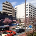 2014 apr 01 taxi traffic cherry blossom street