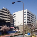 2014 apr 08 white office building lamppost