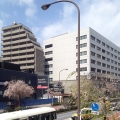 2014 apr 09 office buildings cherry blossoms street