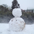 2014 feb 08 snowman in snowstorm