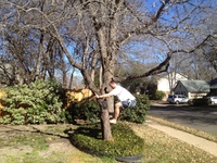 2016-01-31 14.58.37 climbing tree at dads