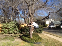 2016-01-31 14.58.39 climbing tree at dads