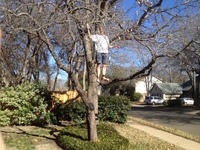 2016-01-31 14.59.14 climbing tree at dads
