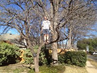 2016-01-31 14.59.22 climbing tree at dads