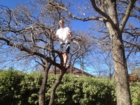 2016-01-31 14.59.36 climbing tree at dads