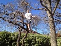 2016-01-31 14.59.37 climbing tree at dads