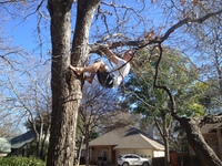 2016-01-31 15.02.50 climbing tree at dads