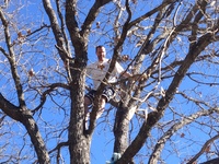 2016-01-31 15.04.31 climbing tree at dads