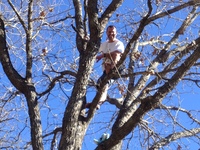 2016-01-31 15.05.50 climbing tree at dads