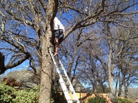 2016-01-31 15.09.09 ladder at dads request