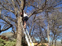 2016-01-31 15.09.11 ladder at dads request