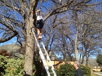 2016-01-31 15.09.13 ladder at dads request