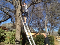 2016-01-31 15.09.14 ladder at dads request