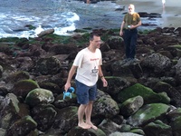 barefoot seal rocks IMG 1222