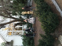 barefoot at wedding IMG 0662