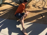 barefoot contrast IMG 0610